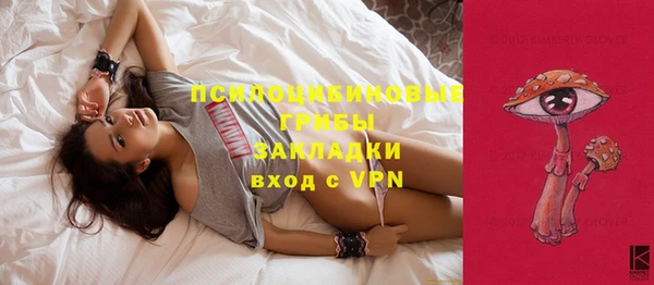 метадон Гвардейск