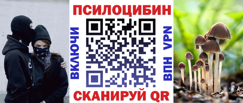 Псилоцибиновые грибы Psilocybine cubensis Дубовка