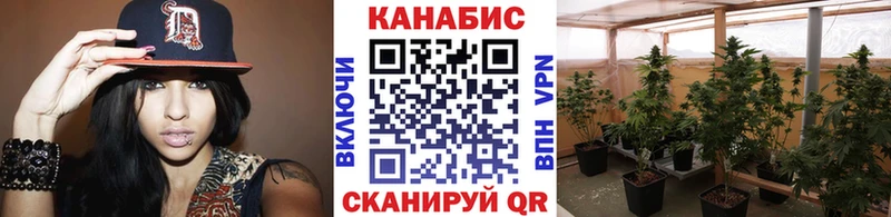 маркетплейс наркотические препараты  Дубовка  МАРИХУАНА OG Kush 